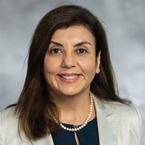 Hala Darwish, PhD, APN, RN, FAAN