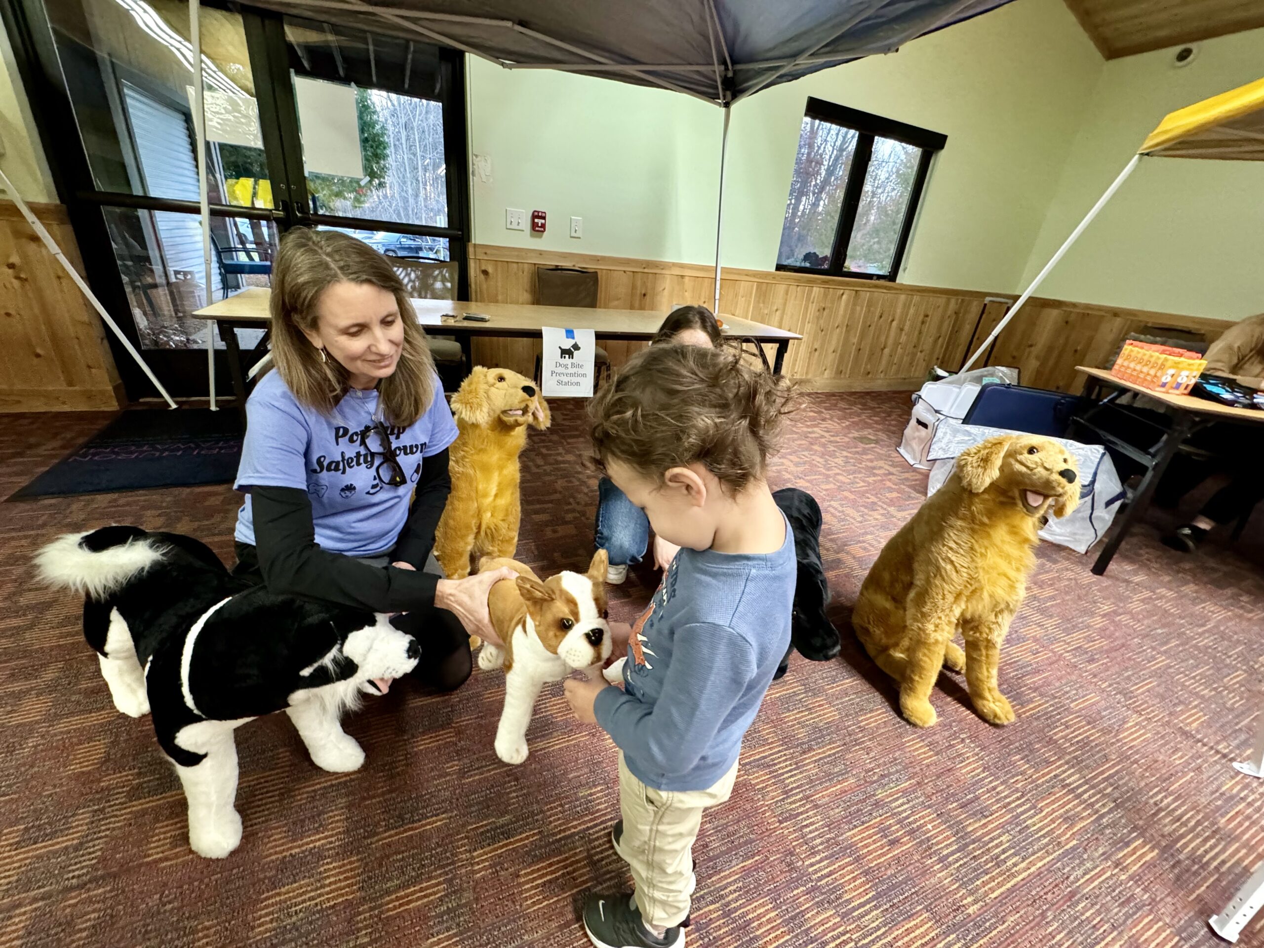 Pop-up Safety Town expands through the New AAP CATCH-ON, U-M Concussion ...